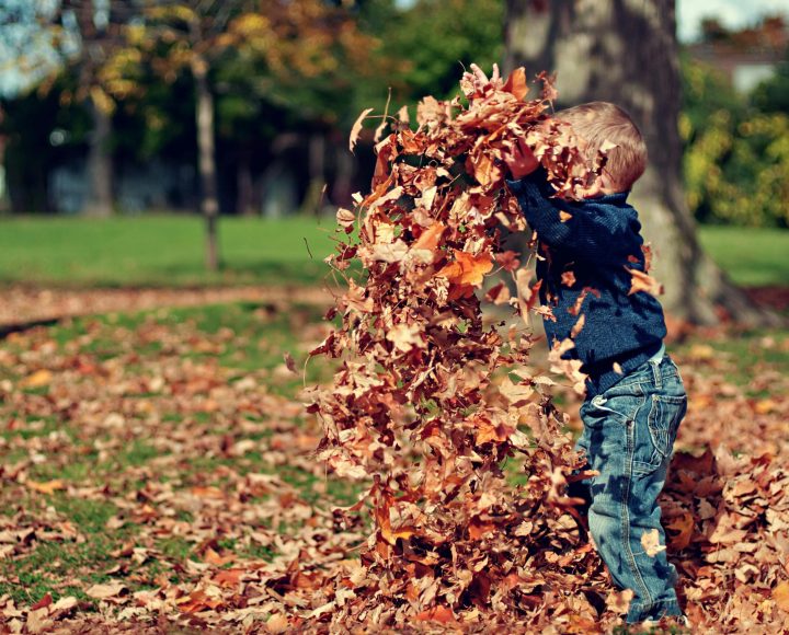 Bambino con le foglie