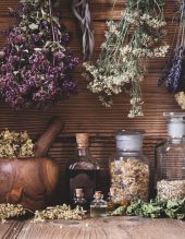 Dried herbs hanging over bottles of tinctures and oils